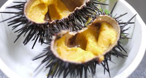 Others 2 Tsubakiso Kagetsu