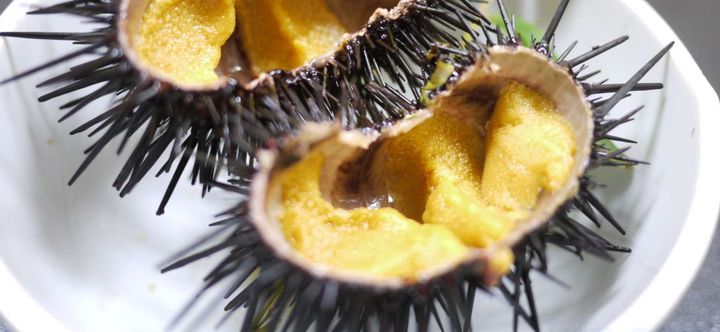 Others 2 Tsubakiso Kagetsu