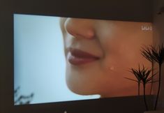 Others 5 Fenghui Courtyard Homestay (Huimin Street)