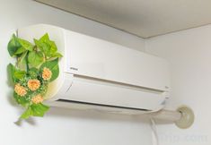 기타 2 Happy House Nishikoiwa