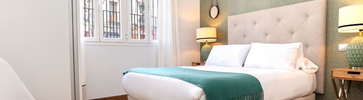 その他 Magnificent apartment with patio in the city center. Recaredo II