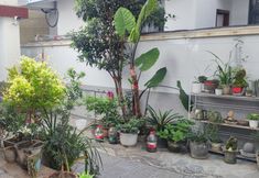 其他 7 Dali Muli Inn (Ancient City Branch)