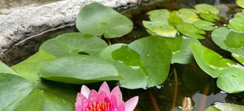 기타 5 Yangzhou Yunchao Inn