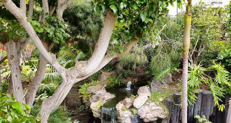 その他 2 Private Balcony and Ocean Views - Spectacular Coastal Retreat