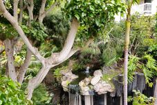 その他 Stunning Balcony Sunset Views and Tropical Oasis - Elegant Coastal Getaway