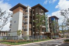 其他 chengjiangbolan