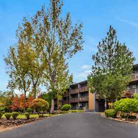 Logo 1 Central Location with Open Kitchen and Cozy Fireplace - Charming Condo, Pilot Butte State Park Hotels