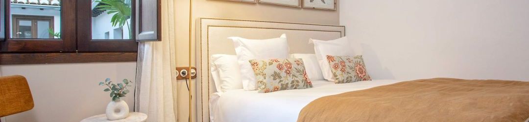 その他 Luxury apartment in Granada. Horno Marina 8