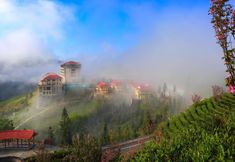 Others 4 Longyunshan Tea Garden Hotel Of LeYe