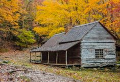 Others 3 Partial Views and Close to Dollywood - Charming Mountain Escape