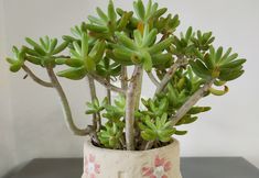 Others 5 Kaifeng Qingyage Homestay