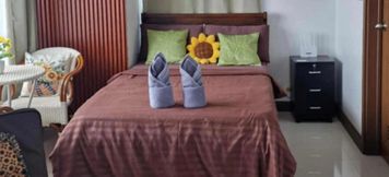 Others 2 Spacious Studio unit with Balcony and Seaview