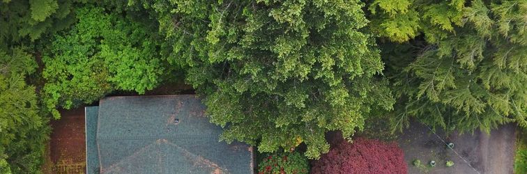 Others Tranquil Cabin Near Serene Beaches and Forests - Stunning Secluded Retreat