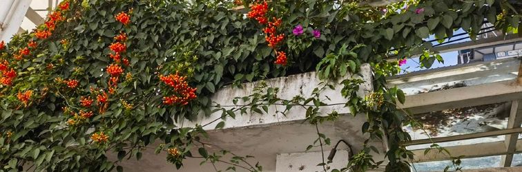 其他 Xiangti Guesthouse in Dali Ancient Town