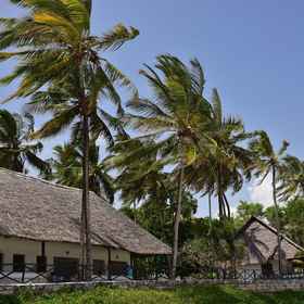 Hotel Exterior 1 Kilifi Bay Hotel, 基利菲 酒店