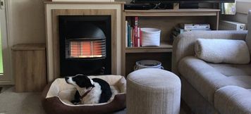 其他 4 Badgers nestled in a cozy corner of the park