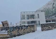 기타 5 As Summer Flowers