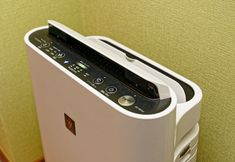 Others 7 minpaku BlancoFukiage