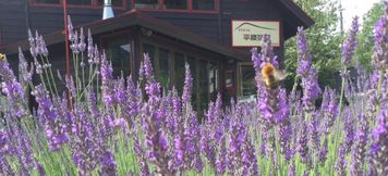 Others 3 Hutte Tairappyou Chaya