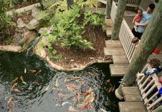 其他 5 Spacious Balconies and Cozy Fireplace - Stunning Ocean View Penthouse