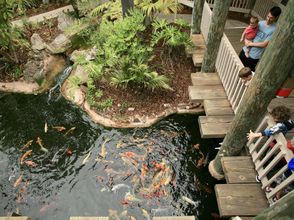 Others 4 Expansive Ocean View and Luxurious Amenities - Stunning Penthouse Oasis