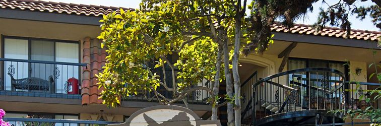 Others Ocean View and Direct Beach Access - Bright Coastal Haven