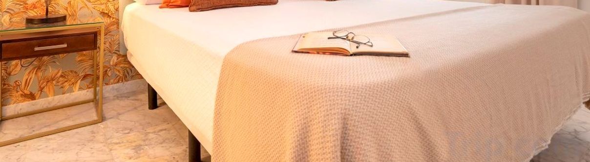 Others Magnificent 3 bedrooms apartment in the heart of Granada. Isabel la Catolica I