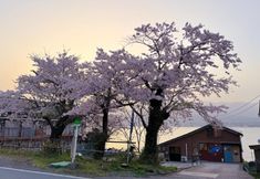 อื่นๆ 3 Sado Island Ocean View Kominka – Private Villa Annex, Sea Side Tsubaki