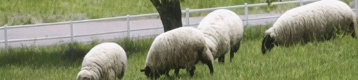 Others 3 Pension Prince Edward