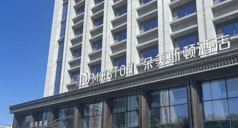 その他 2 D.MIESTON