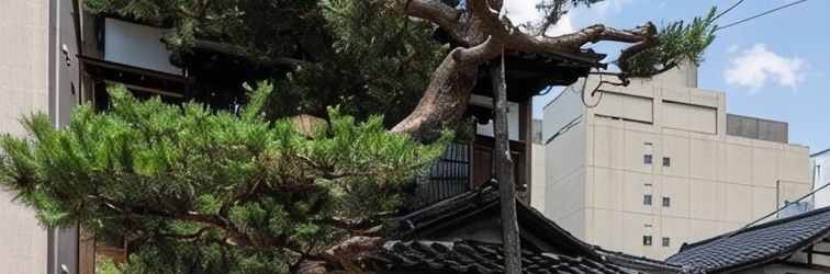 Lainnya Close to You