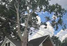 其他 2 Contemporary Oasis with Private Deck Patio - Upscale Luxury