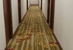 Others 5 100 Inn Liangpin Hotel (Shanghai Deping Road Subway Station)