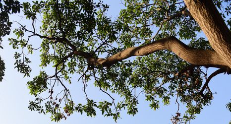 Khác 2 Yinyuedao Hotel