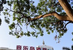 Lain-lain 2 Yinyuedao Hotel