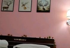 Others 7 Taiyuan Yijia Express Hotel