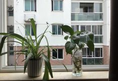 其他 4 Shanghai Huating Hotel (Chonggu Zhaochong Highway Branch)