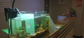 Lain-lain 6 Jiaozuo Xijia Apartment