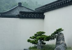 Others 4 CHINA OVERSEAS HOTSPRING RESORT