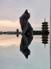 Lain-lain 4 Xiyu Guesthouse