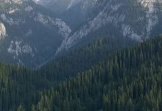 Others 5 Sanwild Nature Resort Homestay (Kanas Old Village Branch)