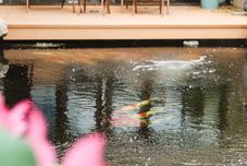 Others Yiliang Xihe (Kaifeng University Wansuishan Wuxia City Store)