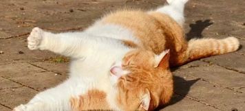 Others 3 Titian Guanjing 360° Shanju Riji Villa Vacation Boutique Stay (Longji Titian Scenic Area)