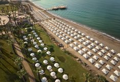 기타 6 Paloma Grida