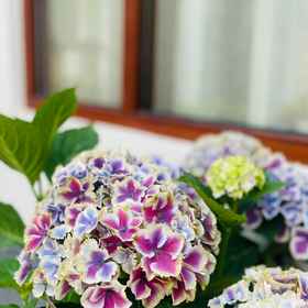 Hotel Exterior 1 JINGLU HOMESTAY, Hotel Persatuan Perusahaan Swasta Shaoxing