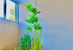 其他 4 Jiji Meizhu Hotel (Tangdu Hospital Fangzhicheng Subway Station)