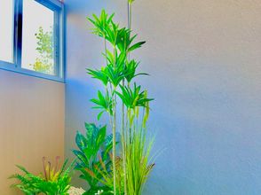 其他 4 Jiji Meizhu Hotel (Tangdu Hospital Fangzhicheng Subway Station)