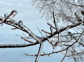 Lain-lain 4 Jingning Daxu Township Yunzhan Homestay