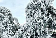 Lain-lain 7 Jingning Daxu Township Yunzhan Homestay