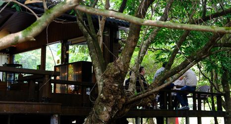 Others 2 LUYINSANQIU GLAMPING RESORT